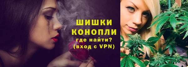 шишки Богородск