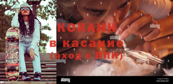 шишки Богородск