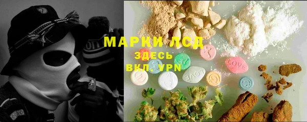 ГАЛЛЮЦИНОГЕННЫЕ ГРИБЫ Беломорск