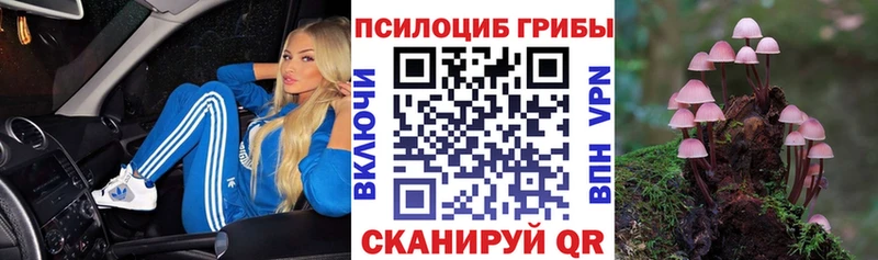 купить наркотики сайты  Саяногорск  Псилоцибиновые грибы Psilocybe 
