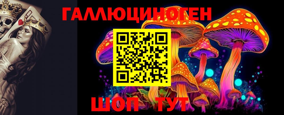 Саяногорск  Галлюциногенные грибы прущие грибы  Вход с VPN 